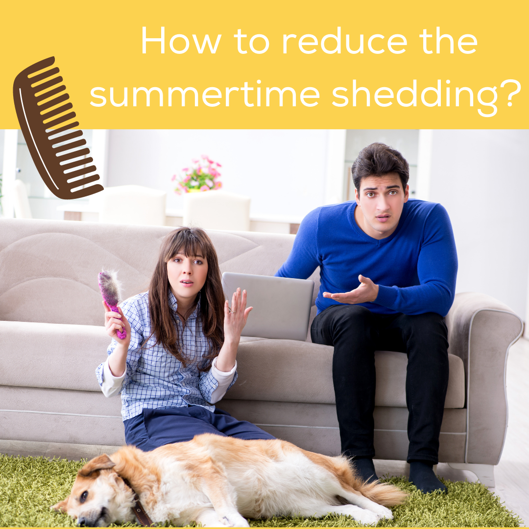 How to reduce the summertime shedding?