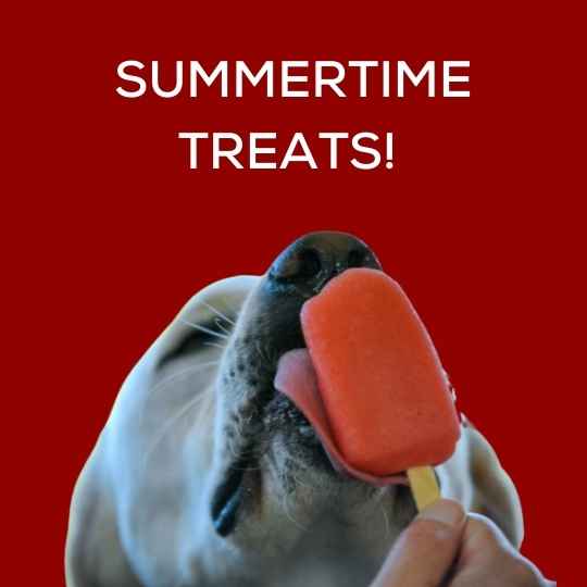 Summertime Treats!