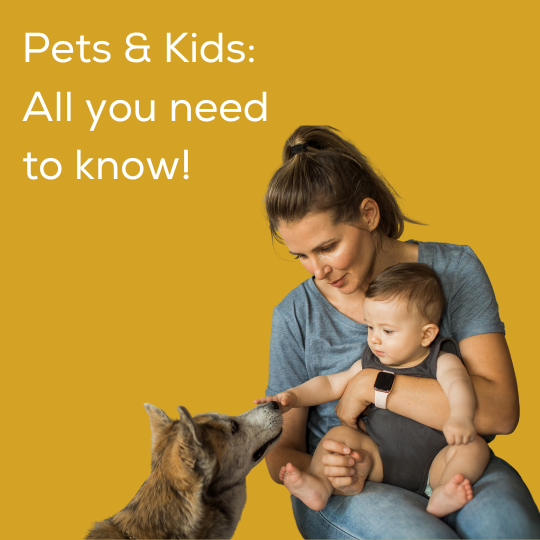 Can you have pets and a baby?