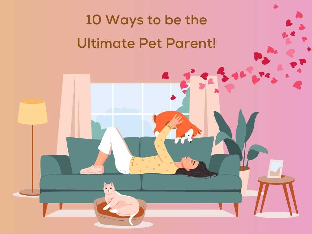 10 Ways to be the Ultimate Pet Parent!