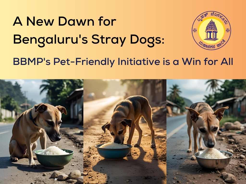 A New Dawn for Bengaluru's Stray Dogs: BBMP's Pet-Friendly Initiative is a Win for All