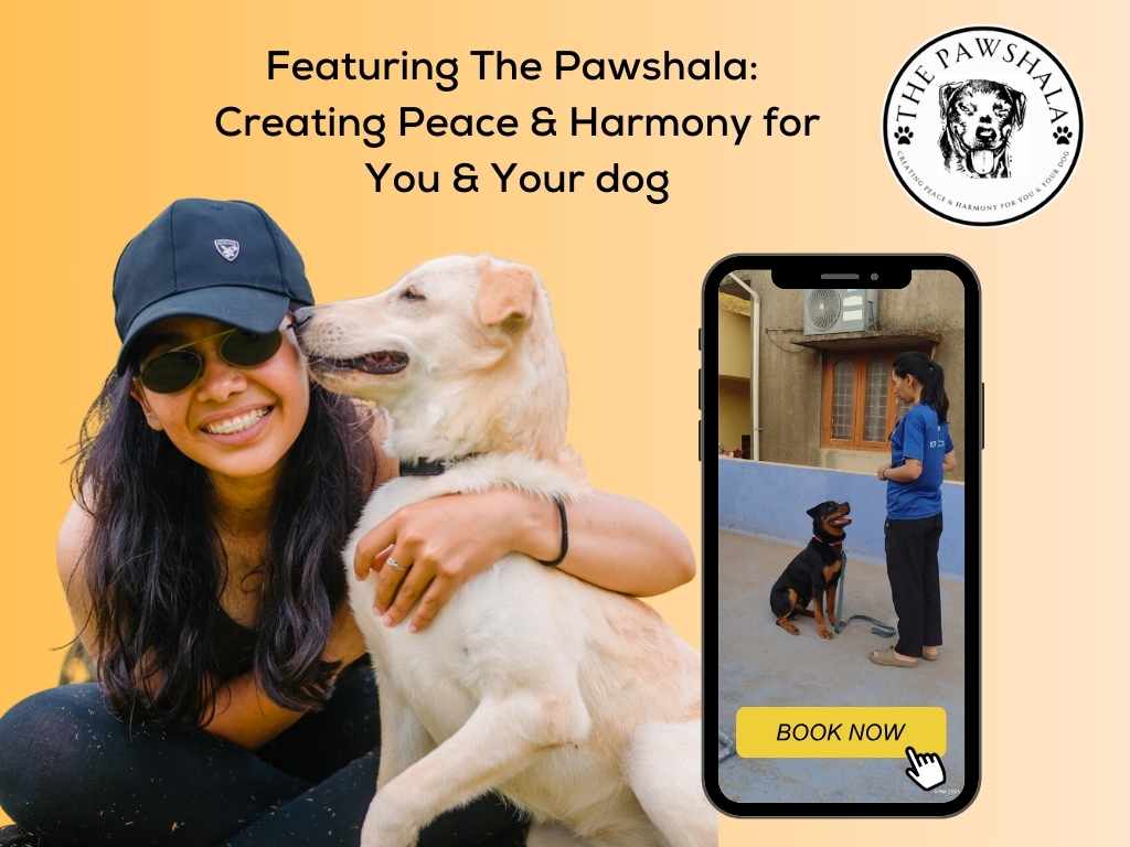 Featuring The Pawshala: Creating Peace & Harmony for You & Your dog