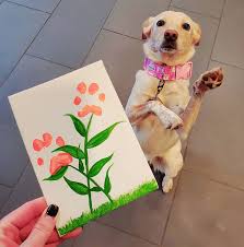 DIY Pet memories