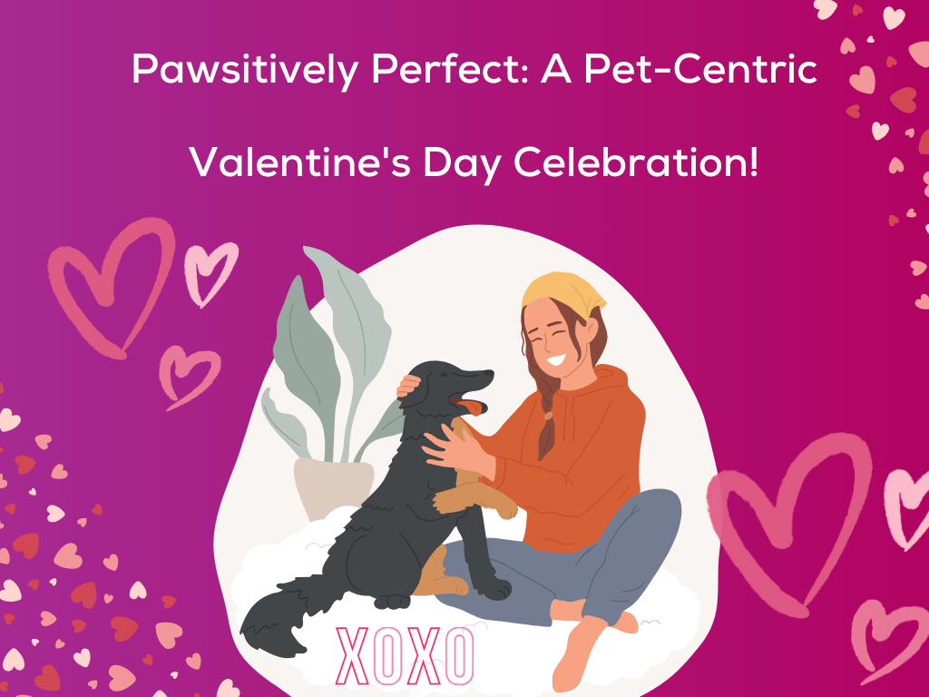 Pawsitively Perfect: A Pet-Centric Valentine's Day Celebration