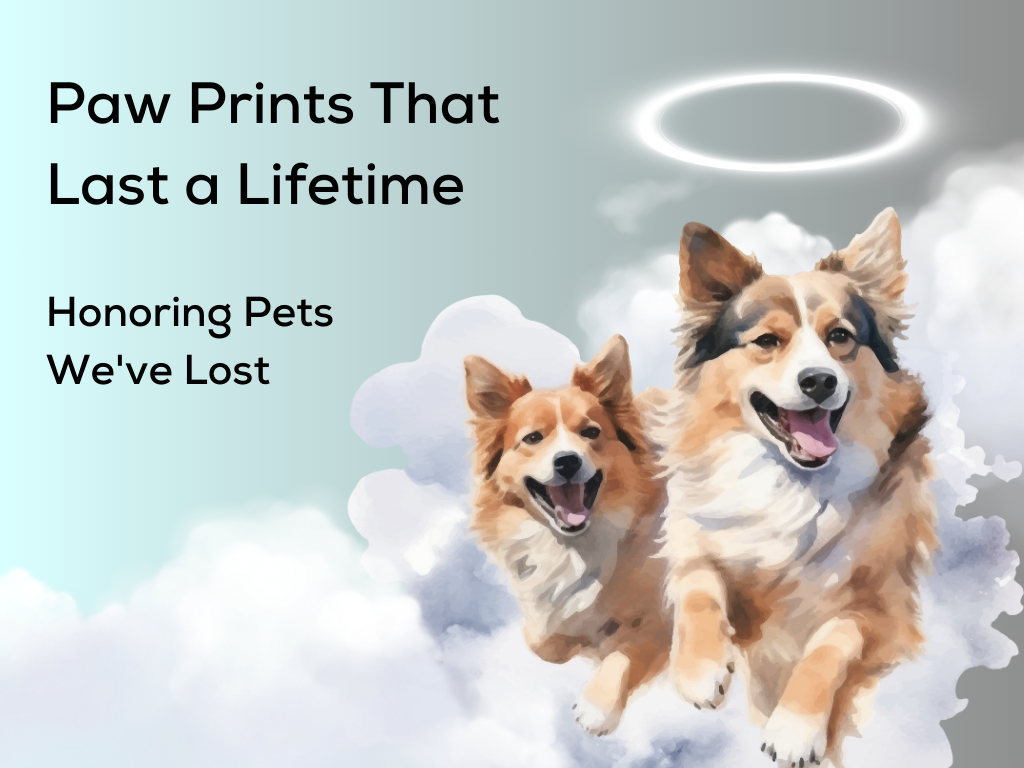 Paw Prints That Last a Lifetime: Honoring Pets We've Lost