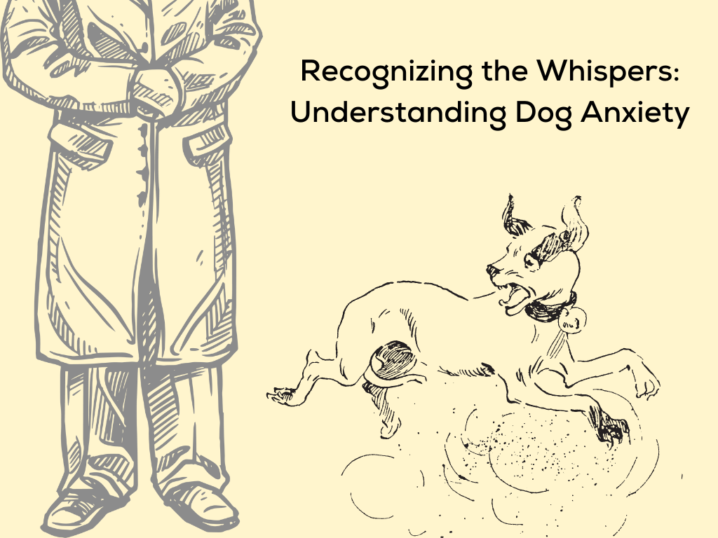 Recognizing the Whispers: Understanding Dog Anxiety
