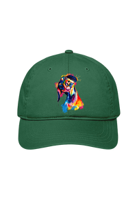 Tilted Head Rainbow Dog Cap (7 Colours)