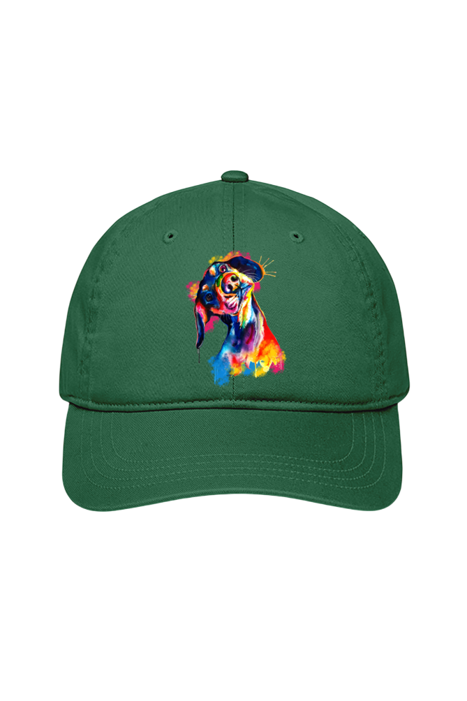 Tilted Head Rainbow Dog Cap (7 Colours)