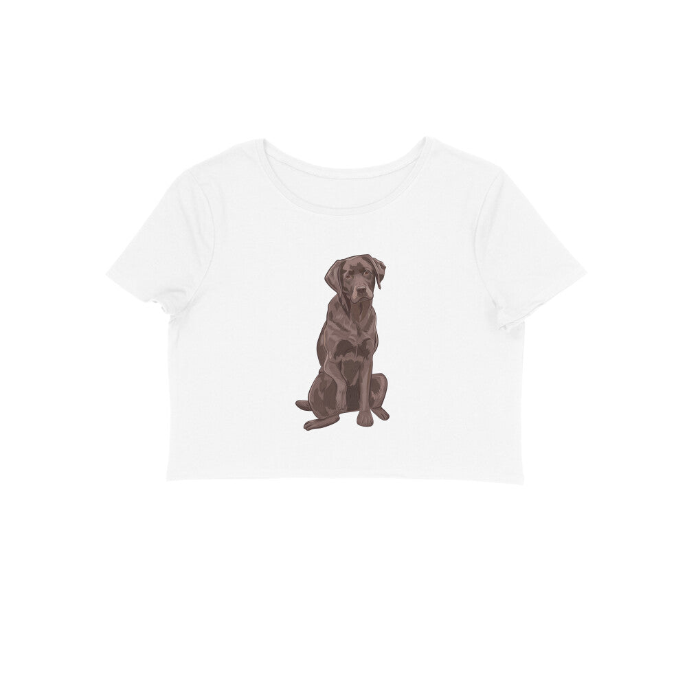 Crop Top (Women) - Chocolate Charm (8 Colours)
