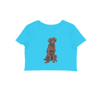 Crop Top (Women) - Chocolate Charm (8 Colours)