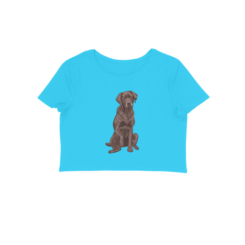 Crop Top (Women) - Chocolate Charm (8 Colours)