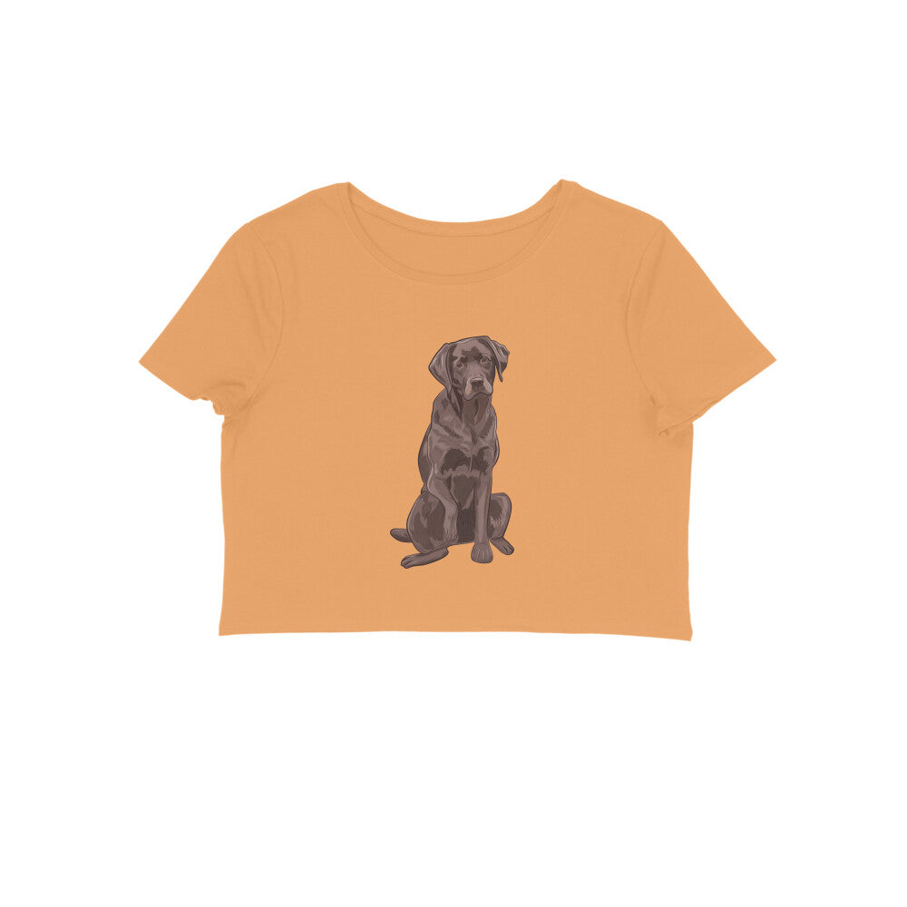 Crop Top (Women) - Chocolate Charm (8 Colours)