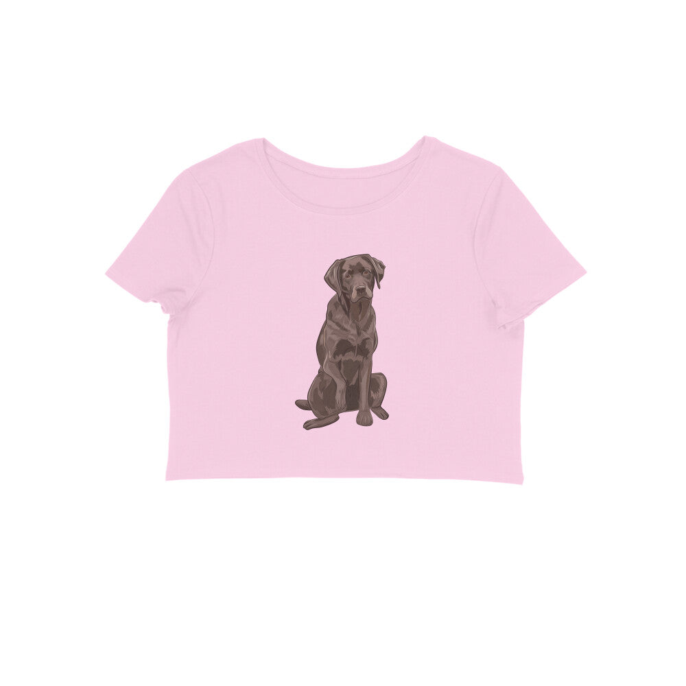 Crop Top (Women) - Chocolate Charm (8 Colours)
