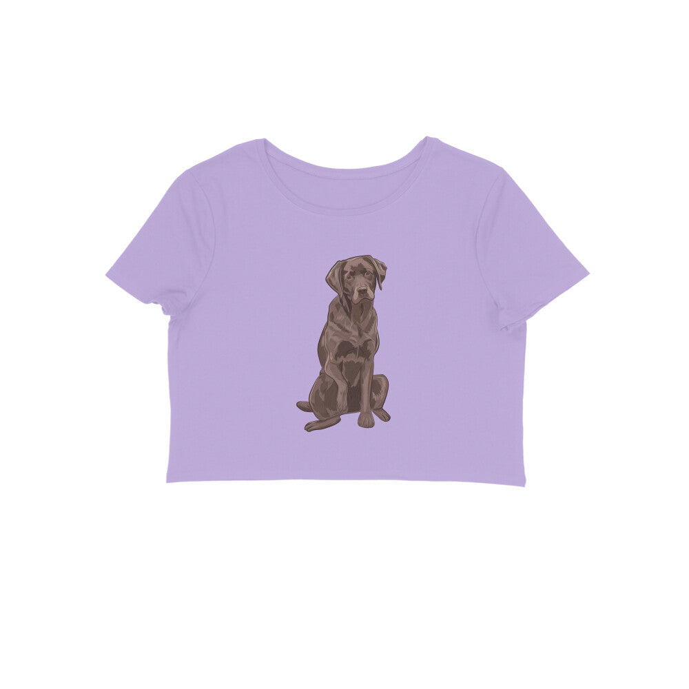 Crop Top (Women) - Chocolate Charm (8 Colours)