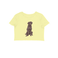 Crop Top (Women) - Chocolate Charm (8 Colours)