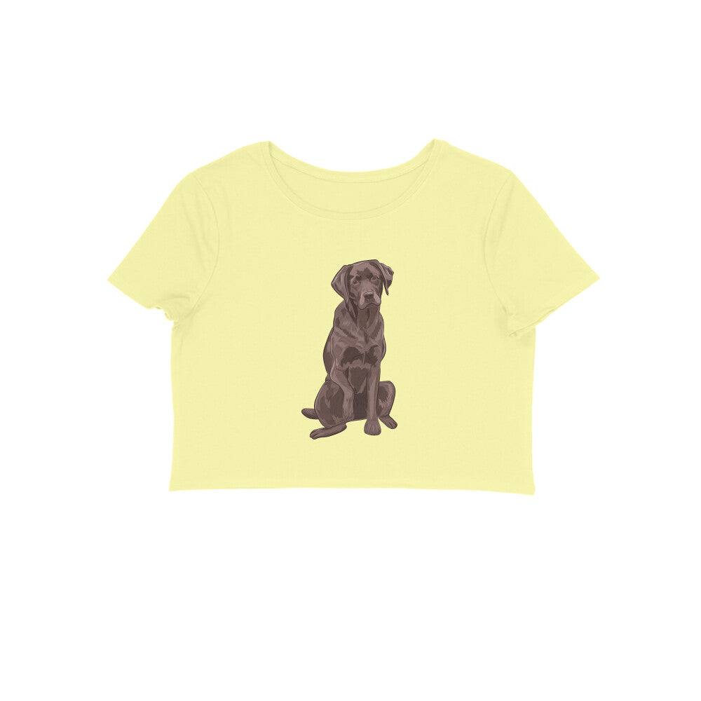 Crop Top (Women) - Chocolate Charm (8 Colours)