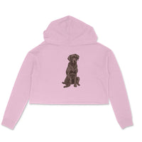 Crop Hoodie (Women) - Chocolate Charm (3 Colours)