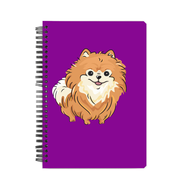 Front View - 5698801