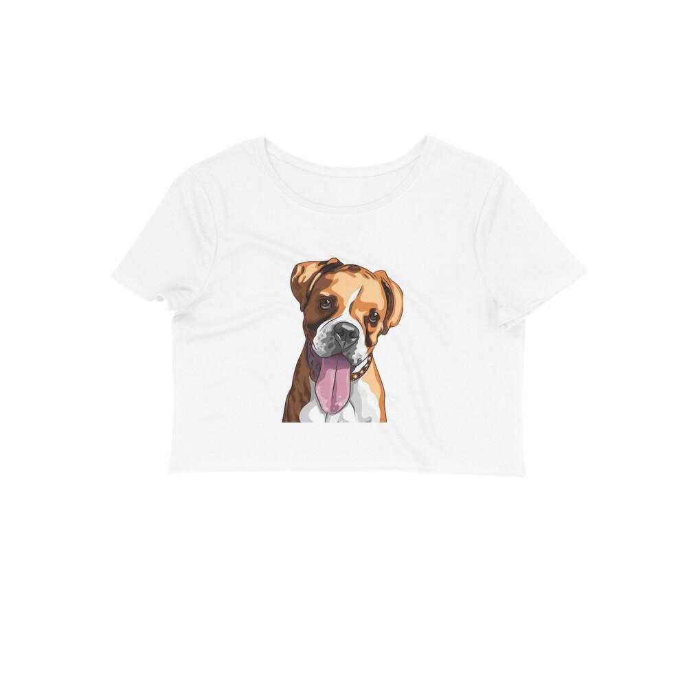 Stepevoli Clothing - Crop Top (Women) - Bright As A Boxer (12 Colours)