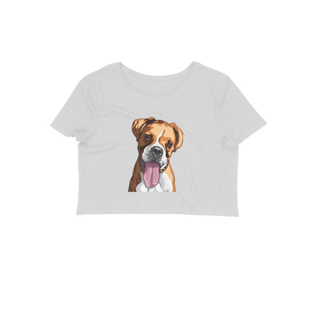 Stepevoli Clothing - Crop Top (Women) - Bright As A Boxer (12 Colours)