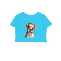 Stepevoli Clothing - Crop Top (Women) - Bright As A Boxer (12 Colours)