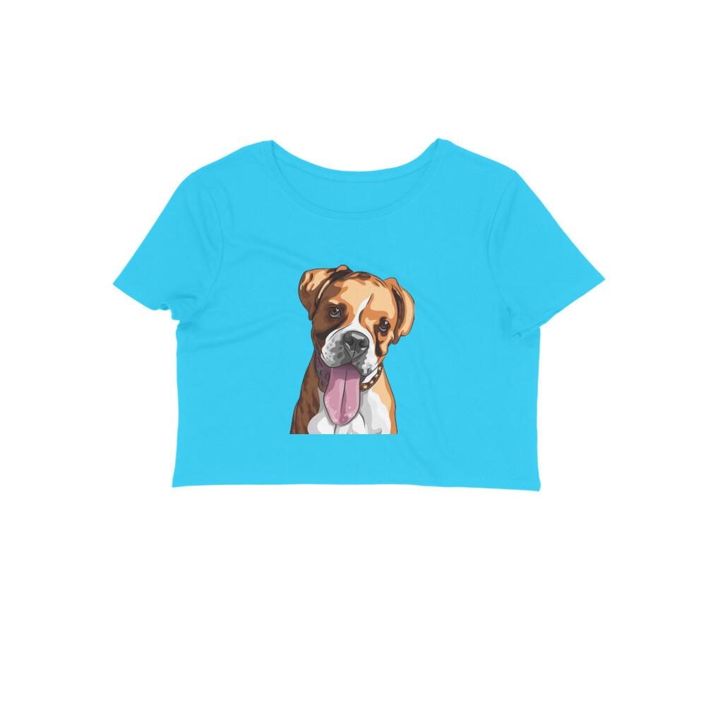 Stepevoli Clothing - Crop Top (Women) - Bright As A Boxer (12 Colours)