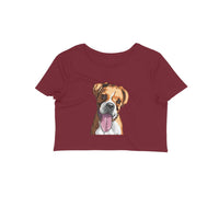 Stepevoli Clothing - Crop Top (Women) - Bright As A Boxer (12 Colours)