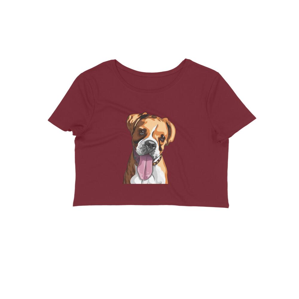 Stepevoli Clothing - Crop Top (Women) - Bright As A Boxer (12 Colours)