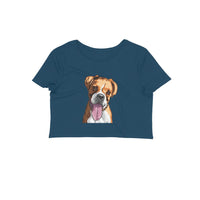 Stepevoli Clothing - Crop Top (Women) - Bright As A Boxer (12 Colours)