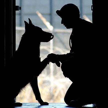 A War Memorial Dedicated To Service Dogs