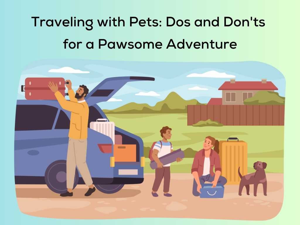 Traveling with Pets: Dos and Don'ts for a Pawsome Adventure