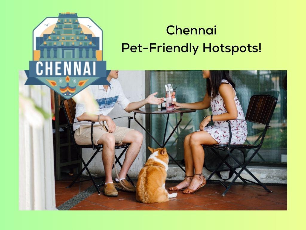 Chennai Pet-Friendly Hotspots!