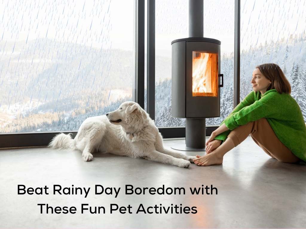 Rainy Day Fun for Pet Parents: Indoor Activities to Keep Tails Wagging
