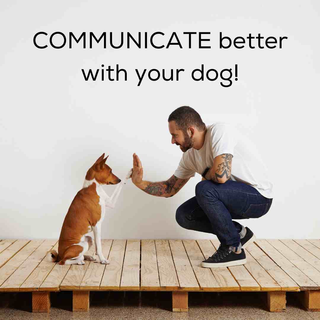 How to communicate better with your dog!