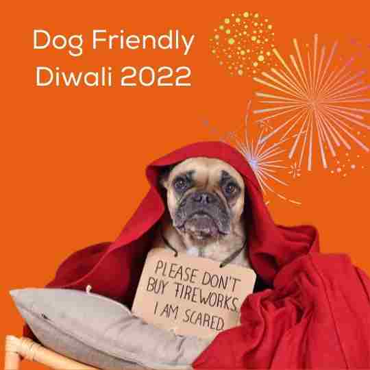 Diwali for Doggos!