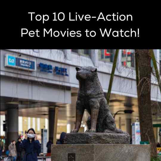 Top 10 Live-Action Pet Movies to Watch!