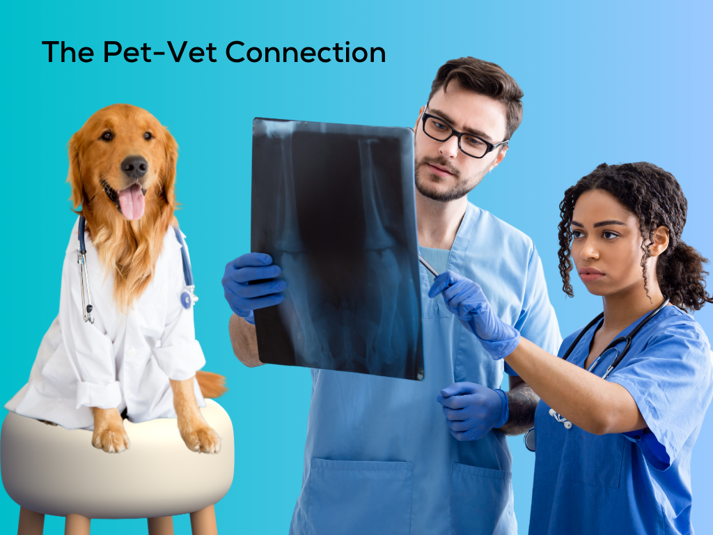 The Pet-Vet Connection – stepevoli