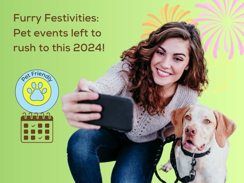 Furry Festivities: Pet Events and Updates 2024