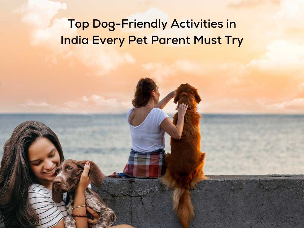 Top Dog-Friendly Activities in India Every Pet Parent Must Try