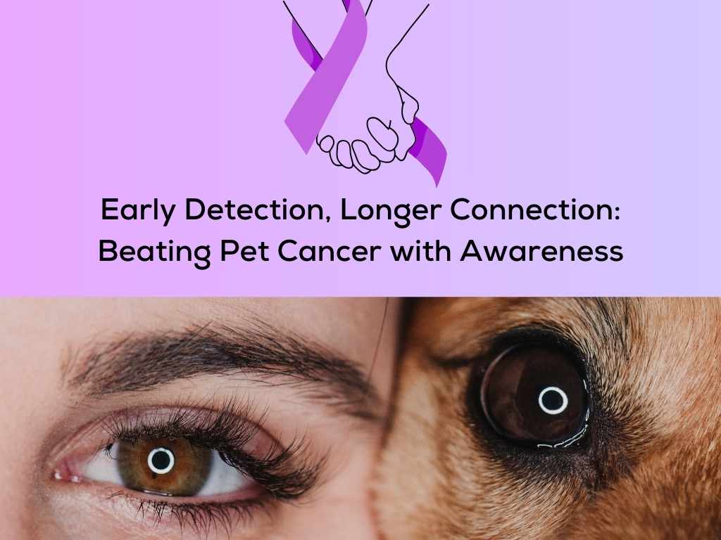 Early Detection, Longer Connection: Beating Pet Cancer with Awareness