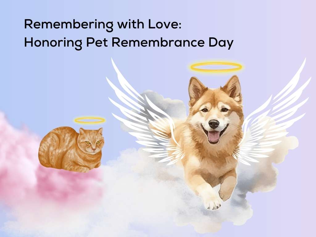 Remembering with Love: Honoring Pet Remembrance Day