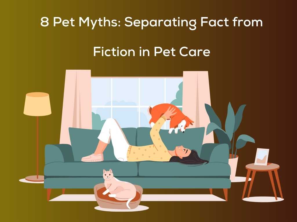 8 Pet Myths: Separating Fact from Fiction in Pet Care