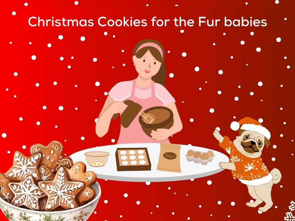 Christmas Cookies for the Fur babies