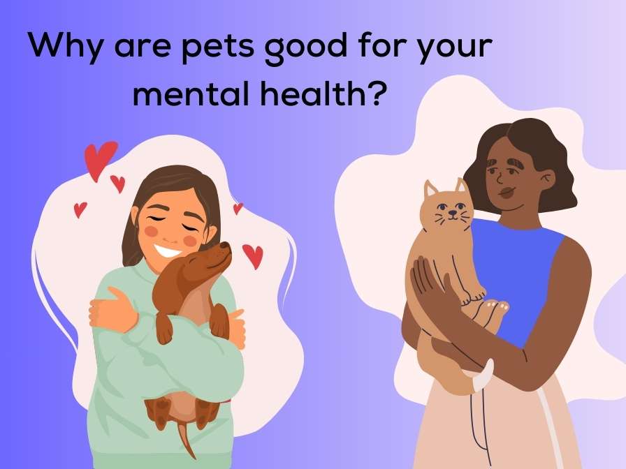 Why are pets good for your mental health?