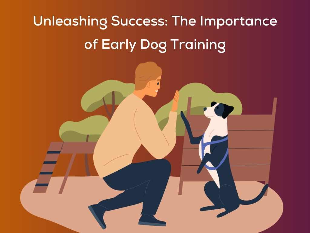 Unleashing Success: The Importance of Early Dog Training