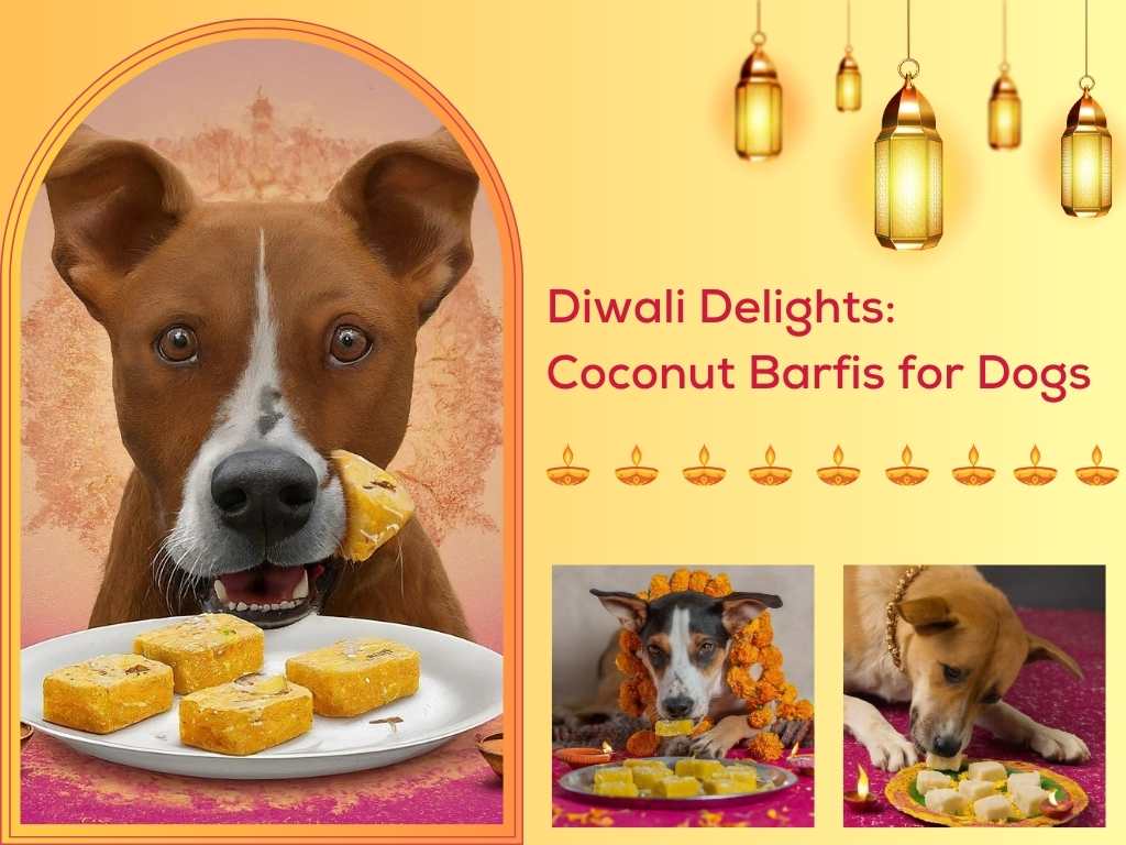 Diwali Delights: Coconut Barfis for Dogs