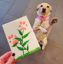 DIY Pet memories