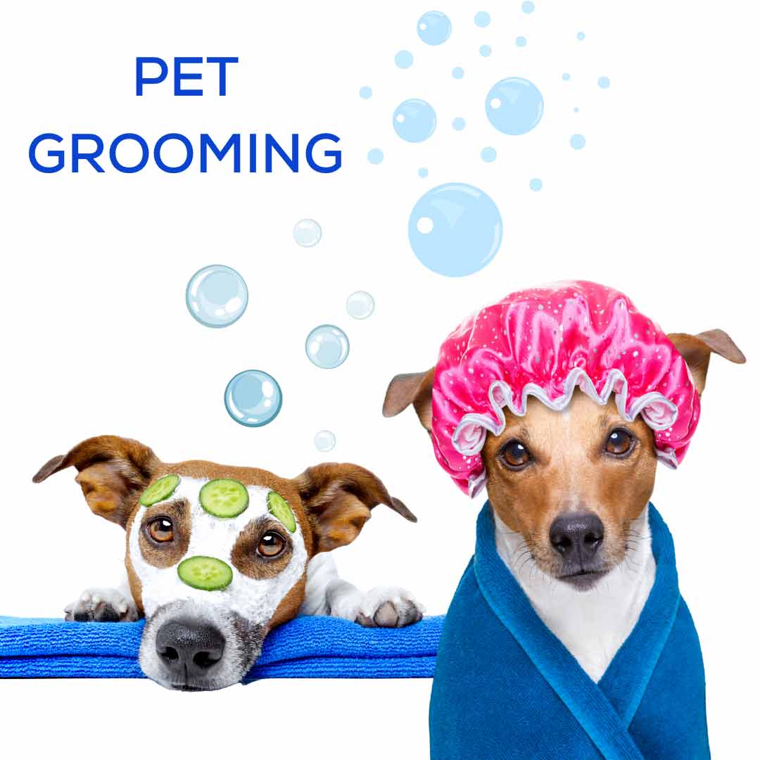 Why is grooming important?