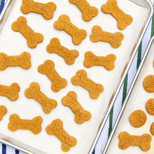Vegetarian Christmas Cookies For Your Pet