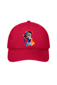 Tilted Head Rainbow Dog Cap (7 Colours)